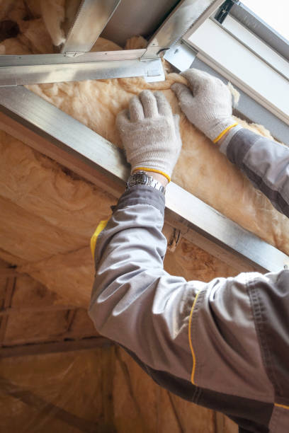 Insulation Repair Services in Gray, TN